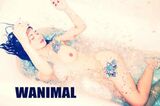 [WANIMAL Royal Movement] Tumblr Hakutsu Makoto[50P] 122nd Term (41P)