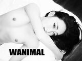 ［WANIMAL王動］ Tumblr博客寫真作品［50P ］第八十四期 (50P)