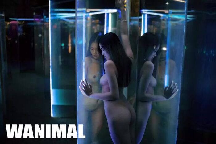 【WANIMAL Royal Movement】18th VIP Mantle (159P) 15th image