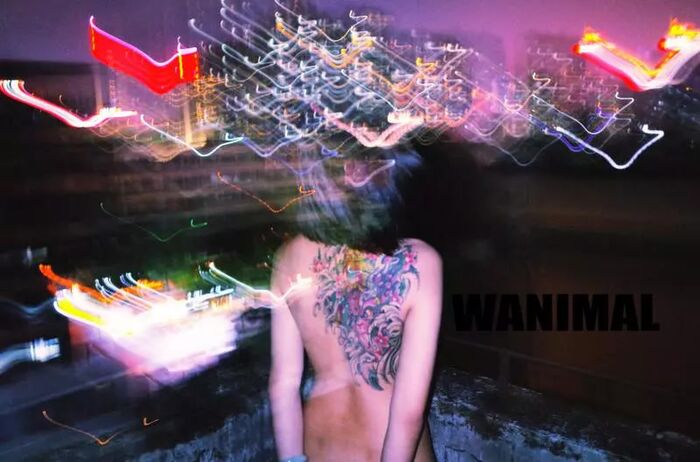 【WANIMAL Royal Movement】18th VIP Mantle (159P) 20th image