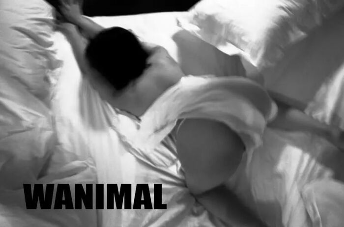 【WANIMAL Royal Movement】18th VIP Mantle (159P) 25th image