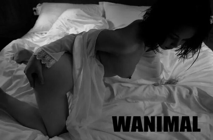 【WANIMAL Royal Movement】18th VIP Mantle (159P) 28th image