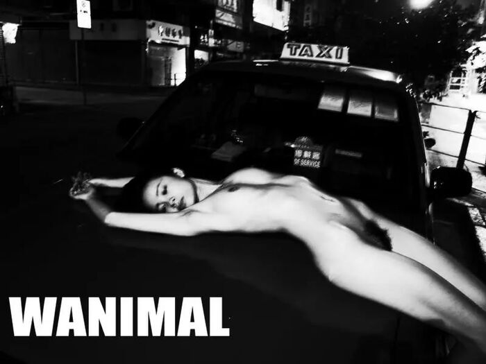 【WANIMAL Royal Movement】18th VIP Mantle (159P) 87th image