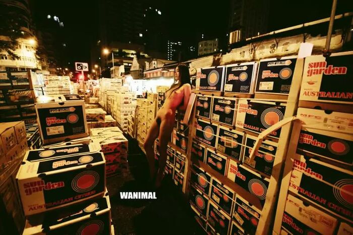 【WANIMAL Royal Movement】18th VIP Mantle (159P) 96th image