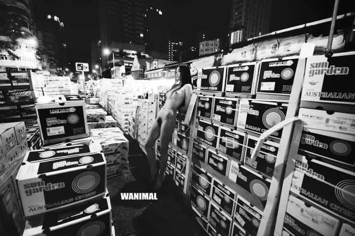 【WANIMAL Royal Movement】18th VIP Mantle (159P) 97th image