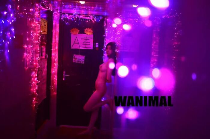 【WANIMAL Royal Movement】18th VIP Mantle (159P) 98th image