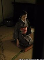 Asakura NahoHime Slender Lumber No OccultAtion Net Tomoshin (31P)