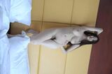 A Retrospective of The Naked Rosing (24P)