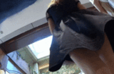 Erotic GIF Underwear Voyeur GIF Image Of Amateur Targeted In Town
