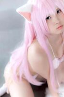 Cute Pet (155P)