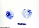 Wang Do WANIMAL Official Exhibition August VIP Mana - 2