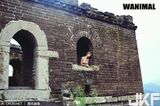 WANIMAL Royal Movement Official Exhibition July VIP Mantle - 1