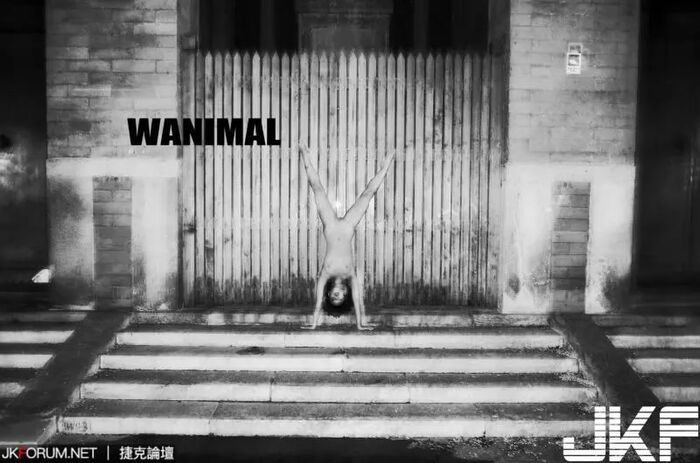 Wang Do WANIMAL Official Exhibition September VIP Mantle - 3 26th image