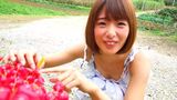 Nanami Kawakami: Nanami Minami Romantic Nanami Kawakami (20P)
